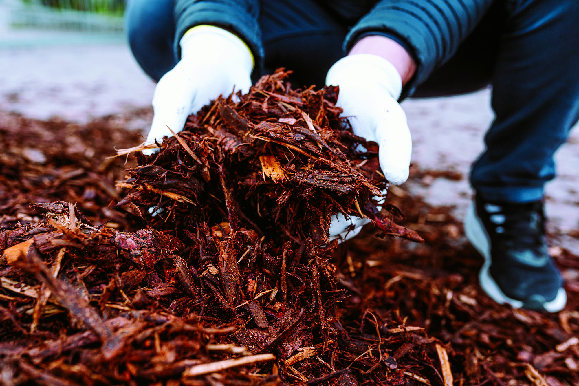 The Bio-Refinery Industry Development Facility (BIDF): pioneering zero-waste manufacturing