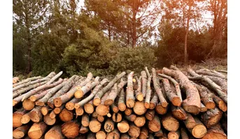 Terrestrial Critical Natural Assets