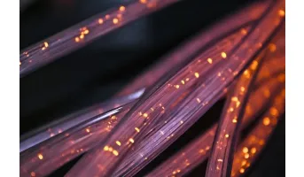 Connectivity data - Fixed telephone subscriptions
