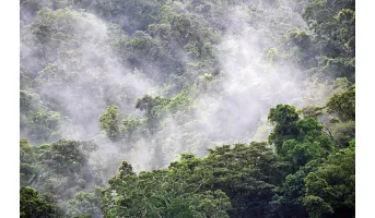 Anomalies for Leaf Area Index (LAI)