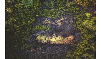 Ecosystem Condition Risk