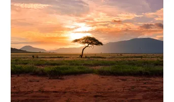 Tourism Attractiveness
