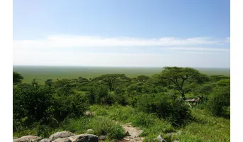 Natural Areas
