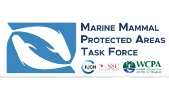 Important Marine Mammal Areas (IMMAs)