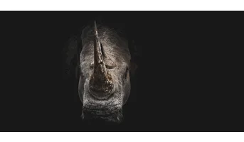 Geo-location of sites with biodiversity funding