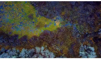 Water Transitions (1984-2018)