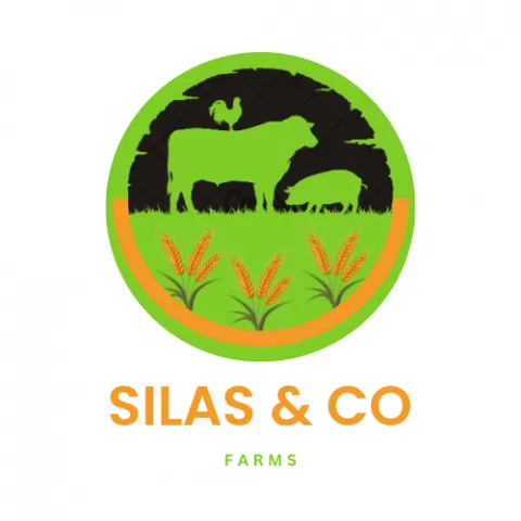 Silas &amp; Co Farms
