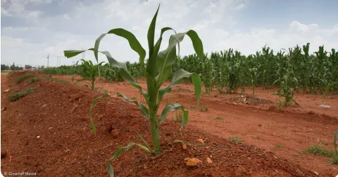 A nonprofit group has developed a cheaper, faster way for farmers to assess soils