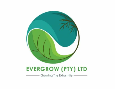 Evergrow Seedlings