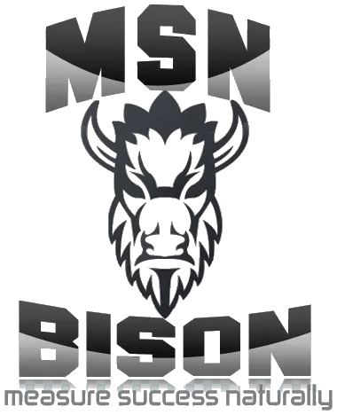 MSN Bison (Pty) Ltd