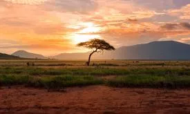 Land, Freshwater and Sea Use Change