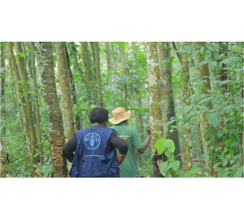 Assessing conservation efforts in Lazarus Forest, Uganda.